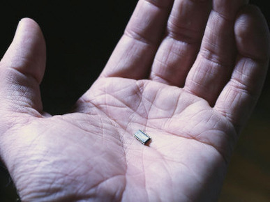 A Computer Chip in the Palm of a Hand