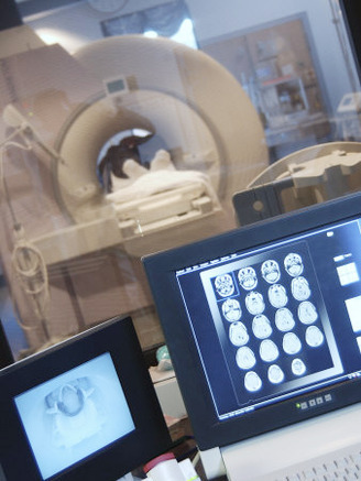 Cat Scan Images on Computer Screen