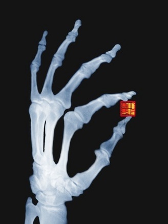Skeletal Hand Holding Computer Chip